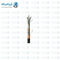 خرید کابل شبکه نگزنس Cat6 SFTP Outdoor PE+PVC حلقه 305 تست پرمننت